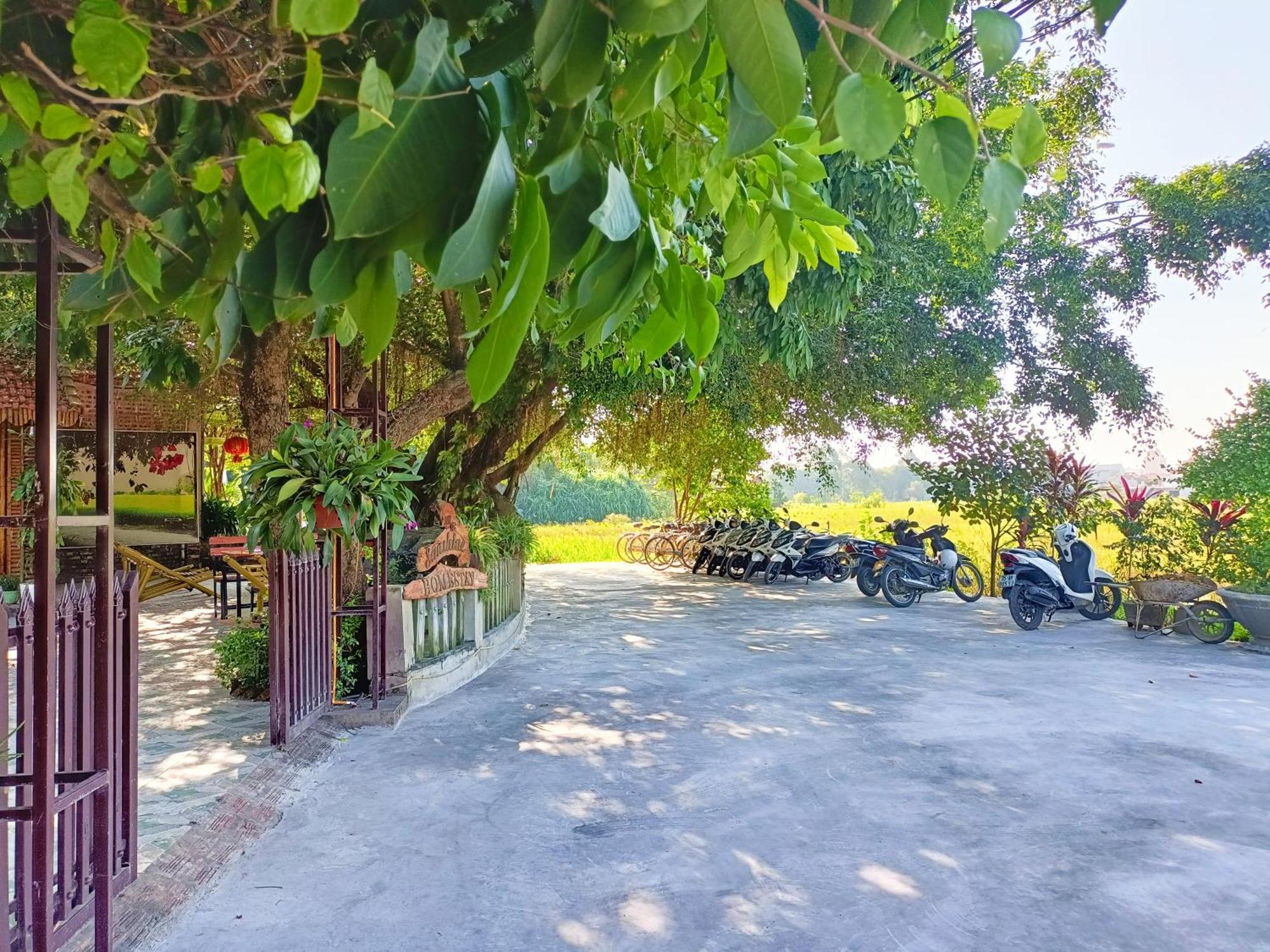 Tam Coc Sunshine Homestay Ninh Binh Eksteriør bilde