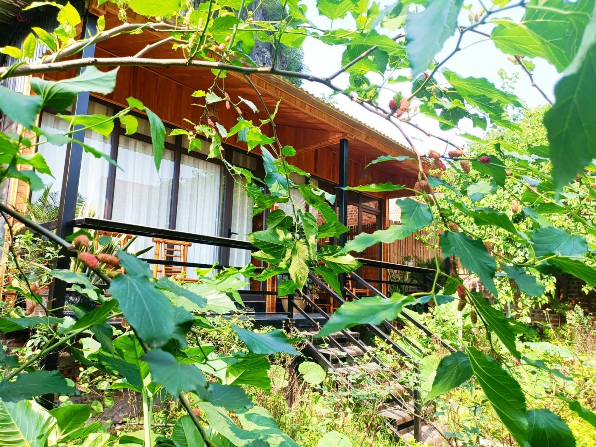 Tam Coc Sunshine Homestay Ninh Binh Eksteriør bilde