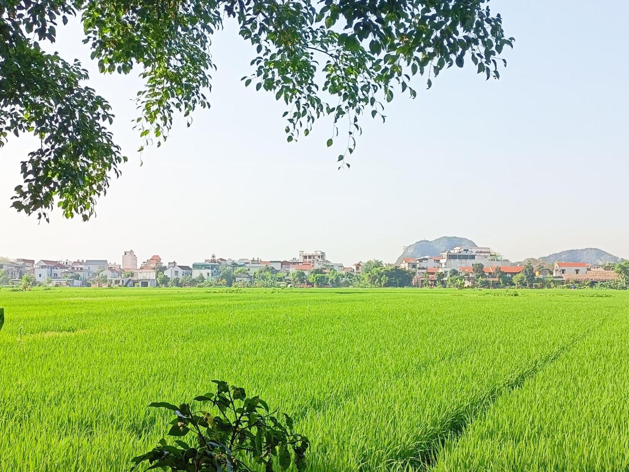 Tam Coc Sunshine Homestay Ninh Binh Eksteriør bilde