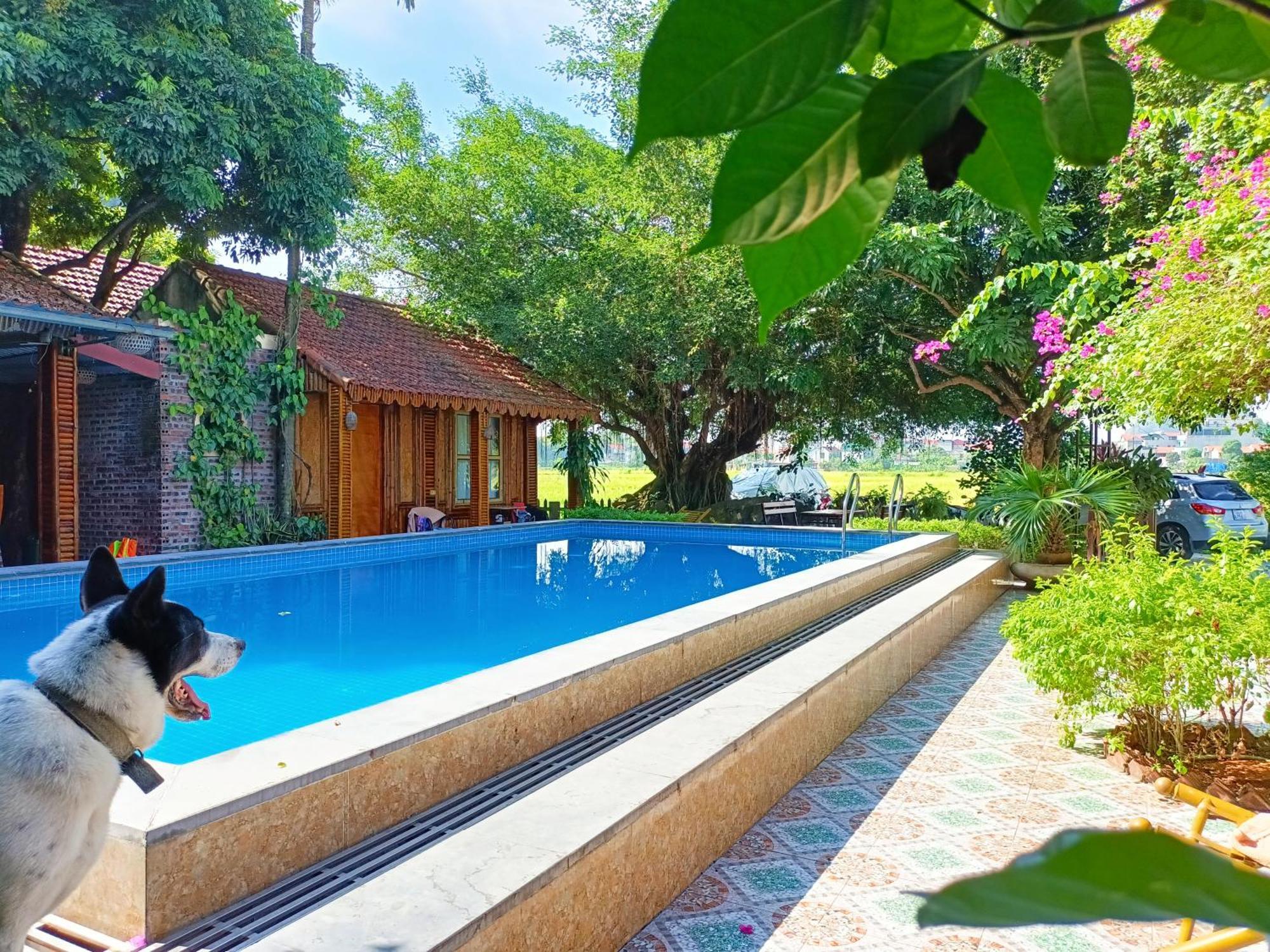 Tam Coc Sunshine Homestay Ninh Binh Eksteriør bilde