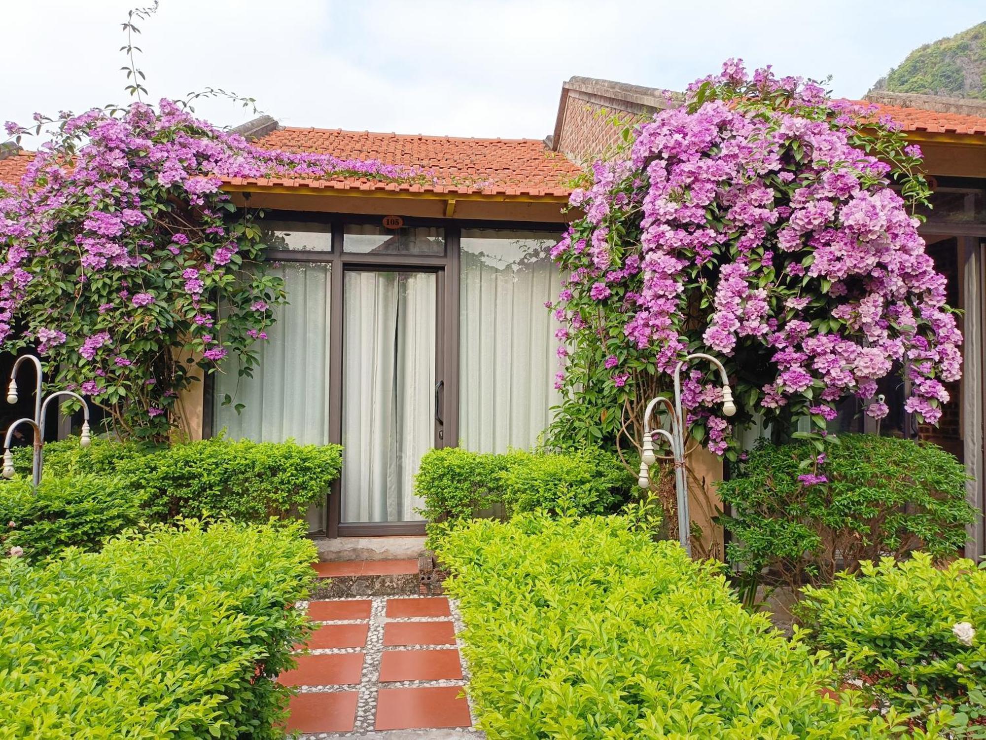 Tam Coc Sunshine Homestay Ninh Binh Eksteriør bilde