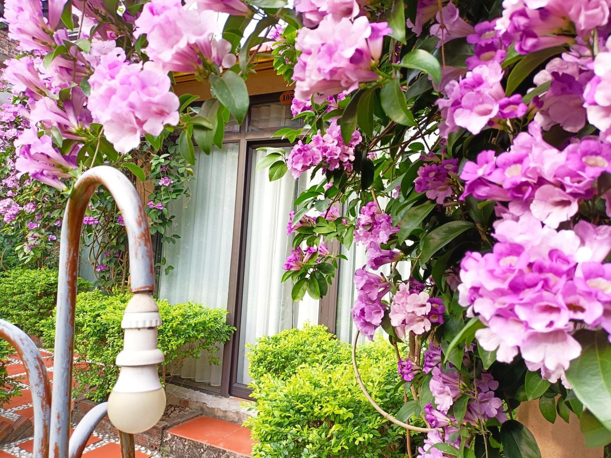 Tam Coc Sunshine Homestay Ninh Binh Eksteriør bilde