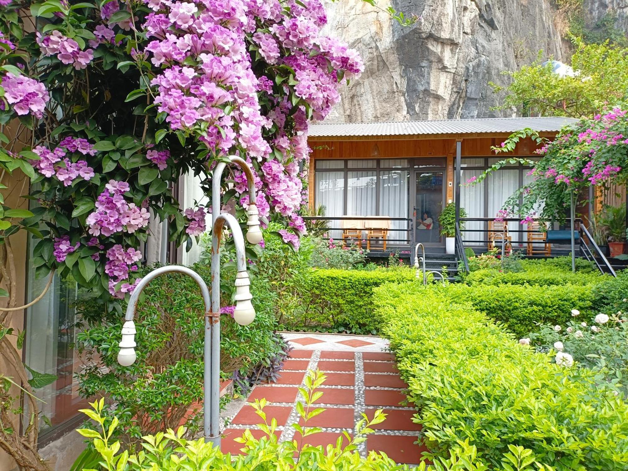 Tam Coc Sunshine Homestay Ninh Binh Eksteriør bilde