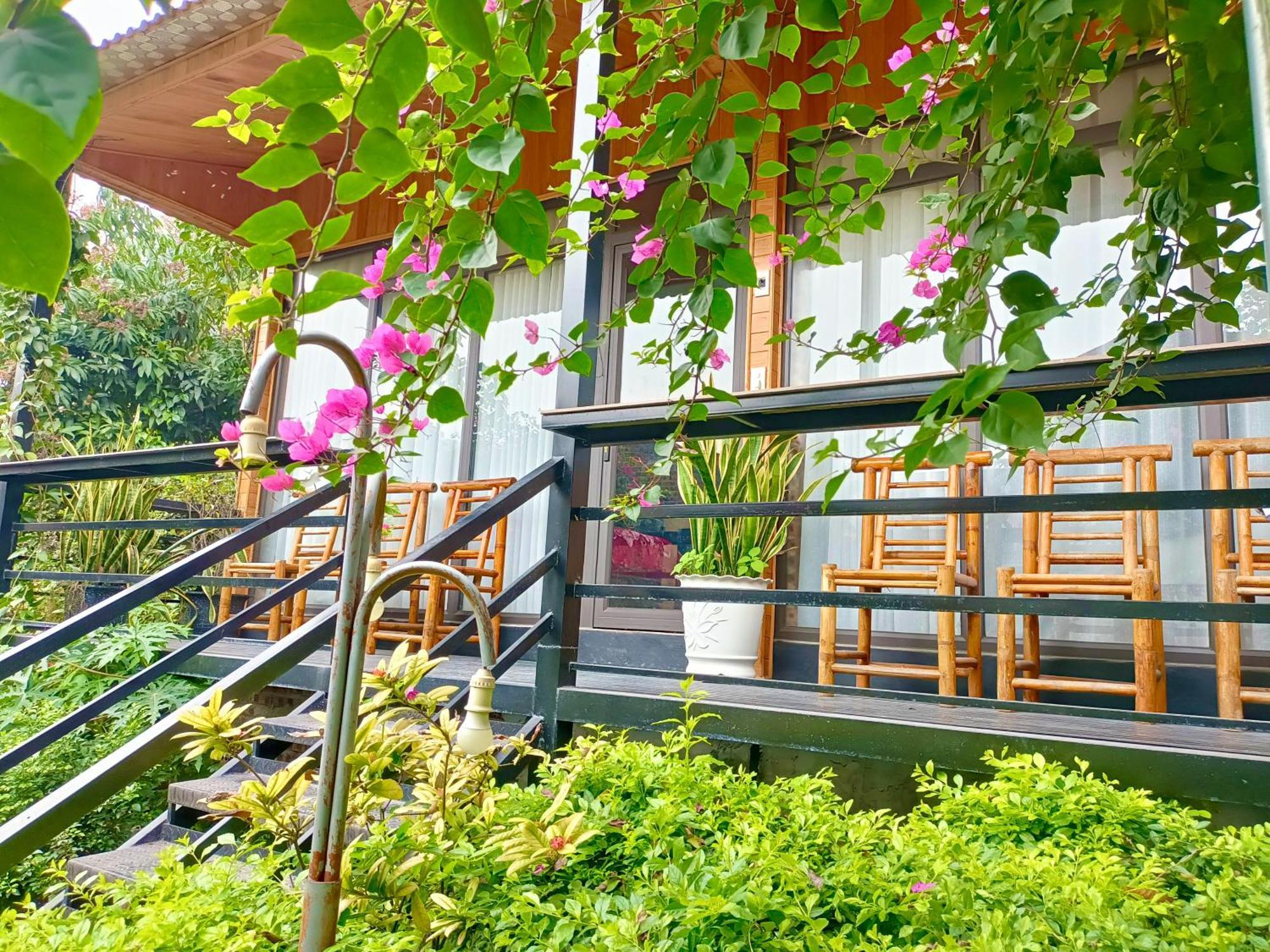 Tam Coc Sunshine Homestay Ninh Binh Eksteriør bilde