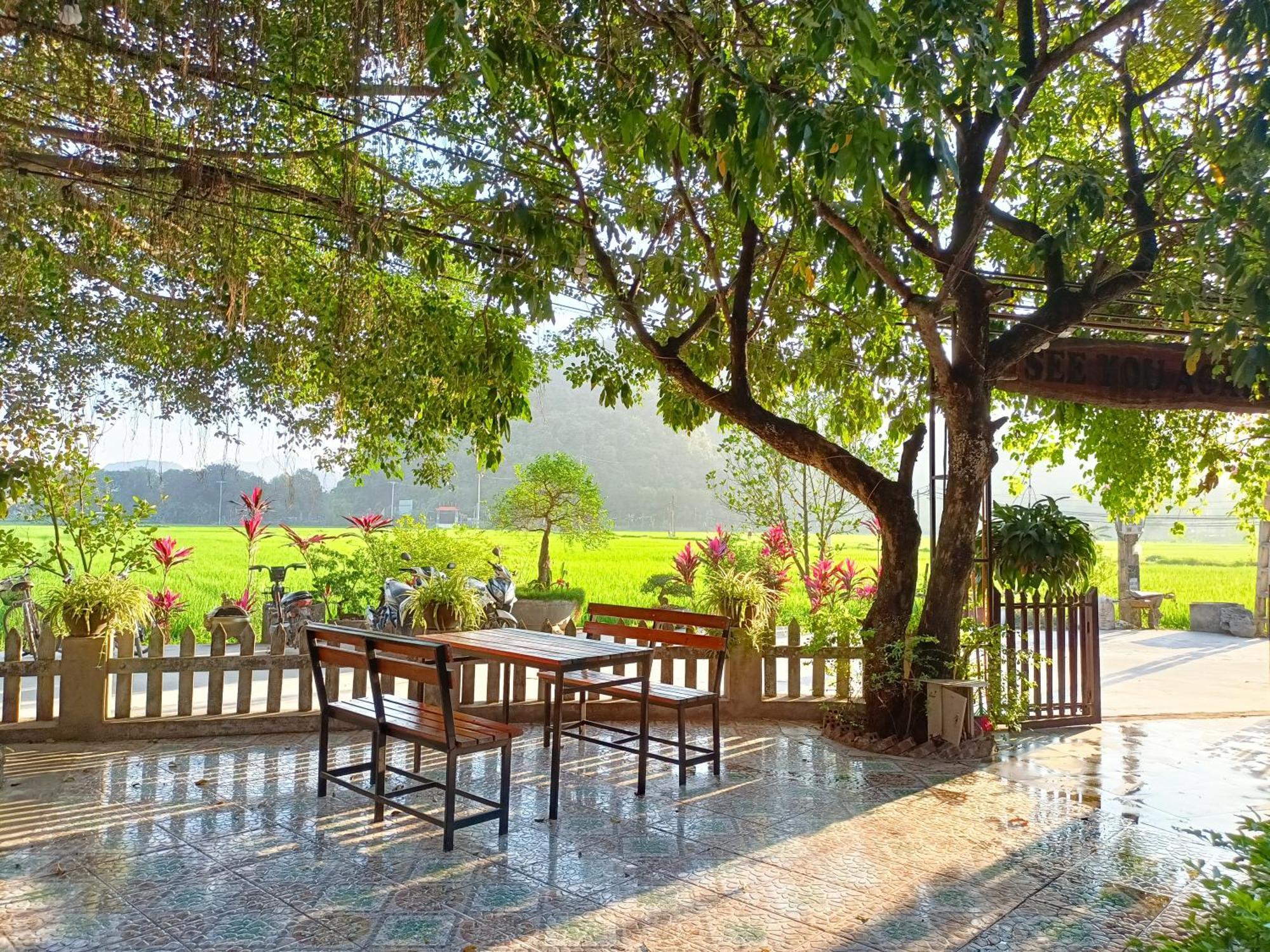 Tam Coc Sunshine Homestay Ninh Binh Eksteriør bilde