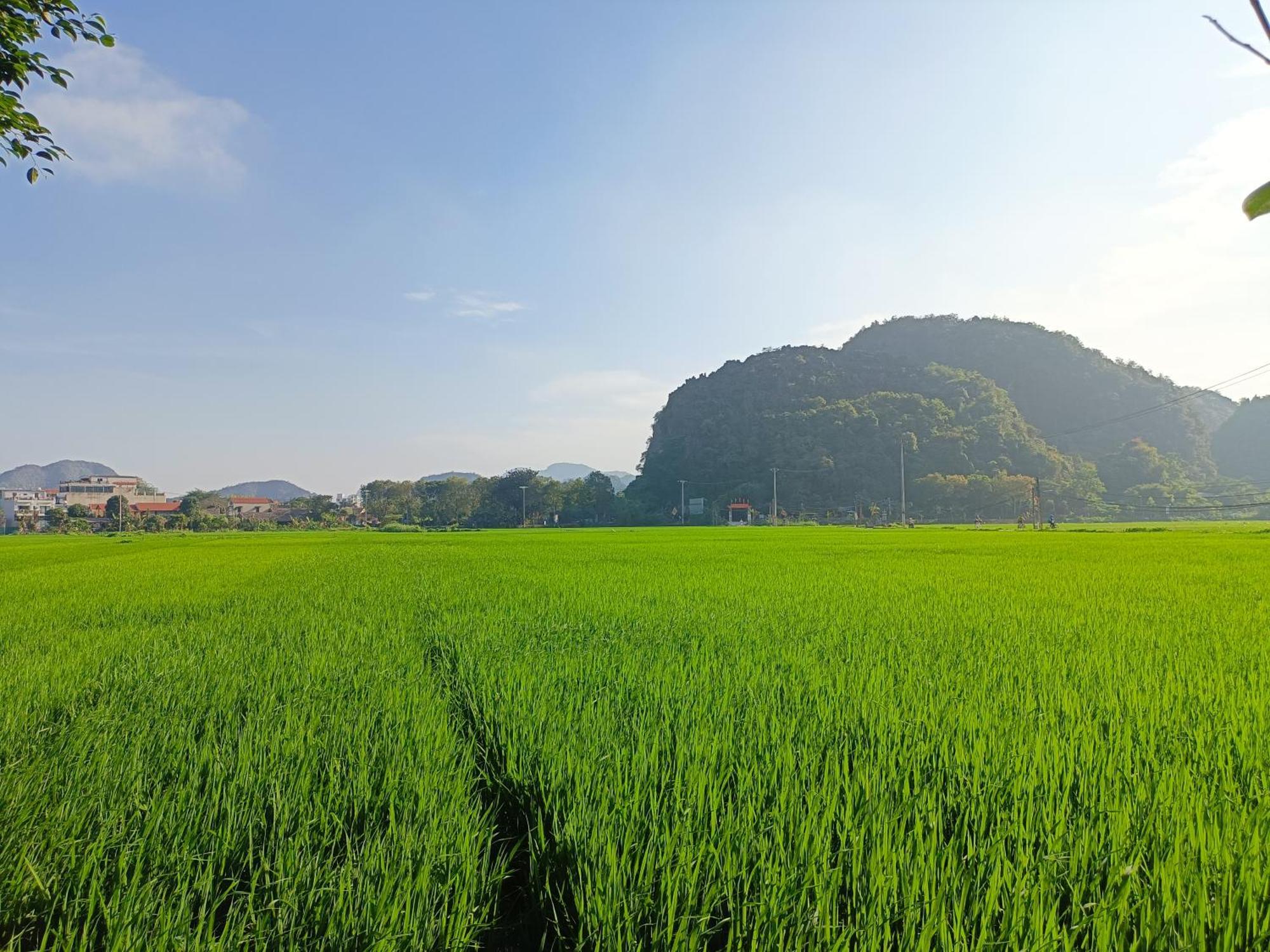 Tam Coc Sunshine Homestay Ninh Binh Eksteriør bilde